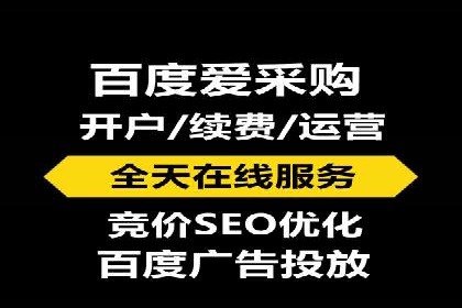 百度推广成功案例：打造行业领军品牌之路